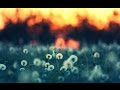 Hayley Westenra Snowflower Yuki No Hana Lyrics Subtitulo Hayley Westenra Snowflower Yuki No Hana Lyrics Subtitulo