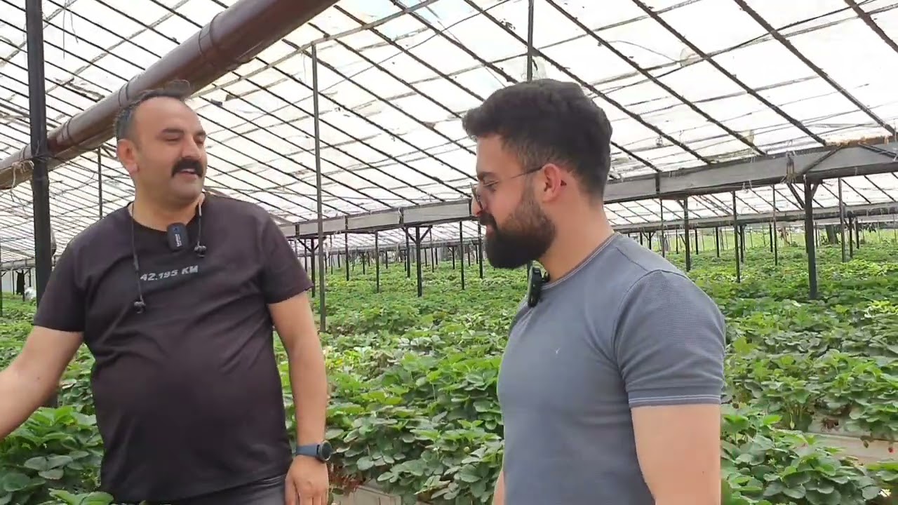 topraksız tarım yapmak isteyenlerin EN ÇOK MERAK ETTİKLERİ soruların hepsini TEK VİDEODA CEVAPLADIK