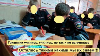 Гибдд не знает ПДД! Надо отправить на пересдачу?