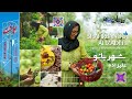 Ep 32 Shahrbanoo Alizadeh Hope The Spice Of Life شهربانو علیزاده امید چاشنی زندگی 