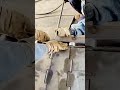 Highly Satisfying Metal Slat Conveyor Assembly Technique #shorts