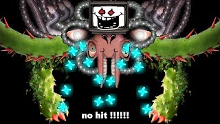 No Hit Omega Flowey Part 2