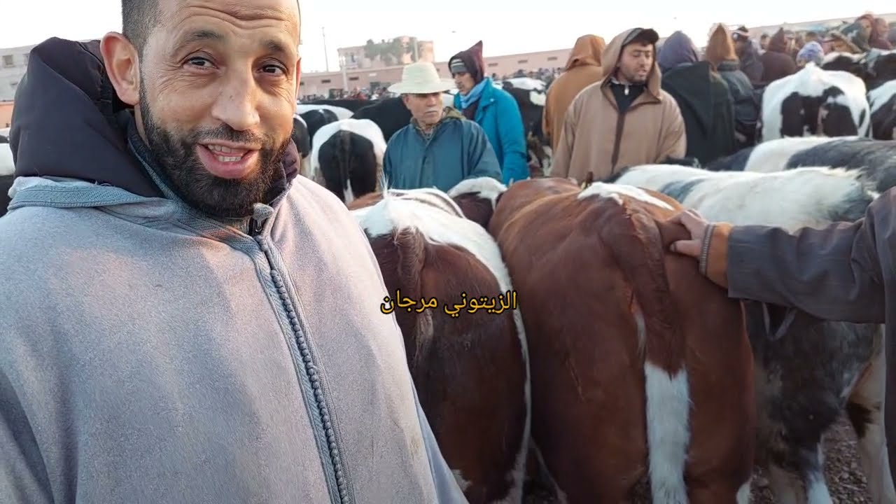 تبارك الله سلعة موجودة في سوق الأربعاء سويهلة مراكش أجيو نشوفو أتمنة ضروبة كزارية وفرجة ممتعة