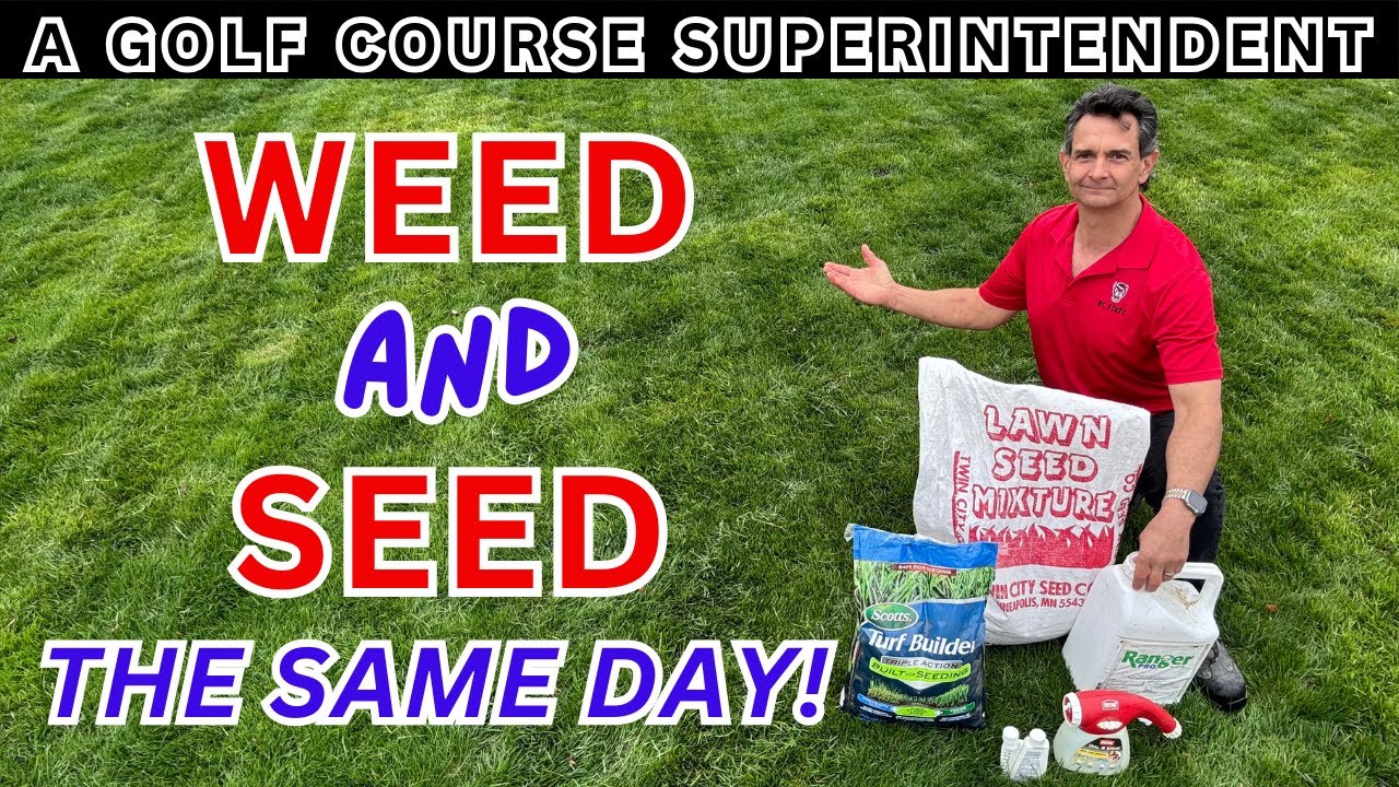 Weed Elimination & Lawn Seeding Tips: How To Fix Your Lawn This Spring ...