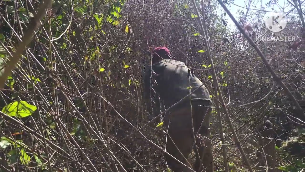 28 กุมภาพันธ์ ค.ศ. 2026