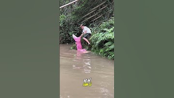 Nàng Tiên Cá xuất hiện ở con sông gần nhà