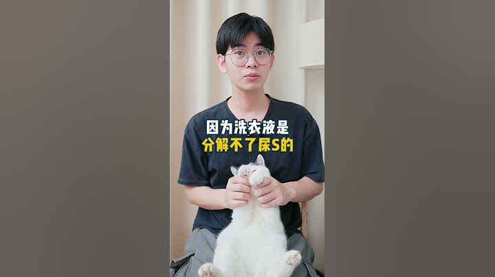 床单被猫尿了怎么办