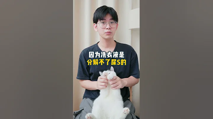 床单被猫尿了怎么办 - 天天要闻