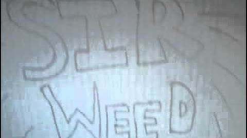 Sir Weed Intro #1