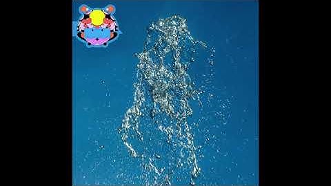 Ed Ward - Floating Island (Official Audio)