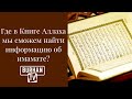 Где в Книге Аллаха говорится  об имамате? Вопросы к шиитам (2/15)