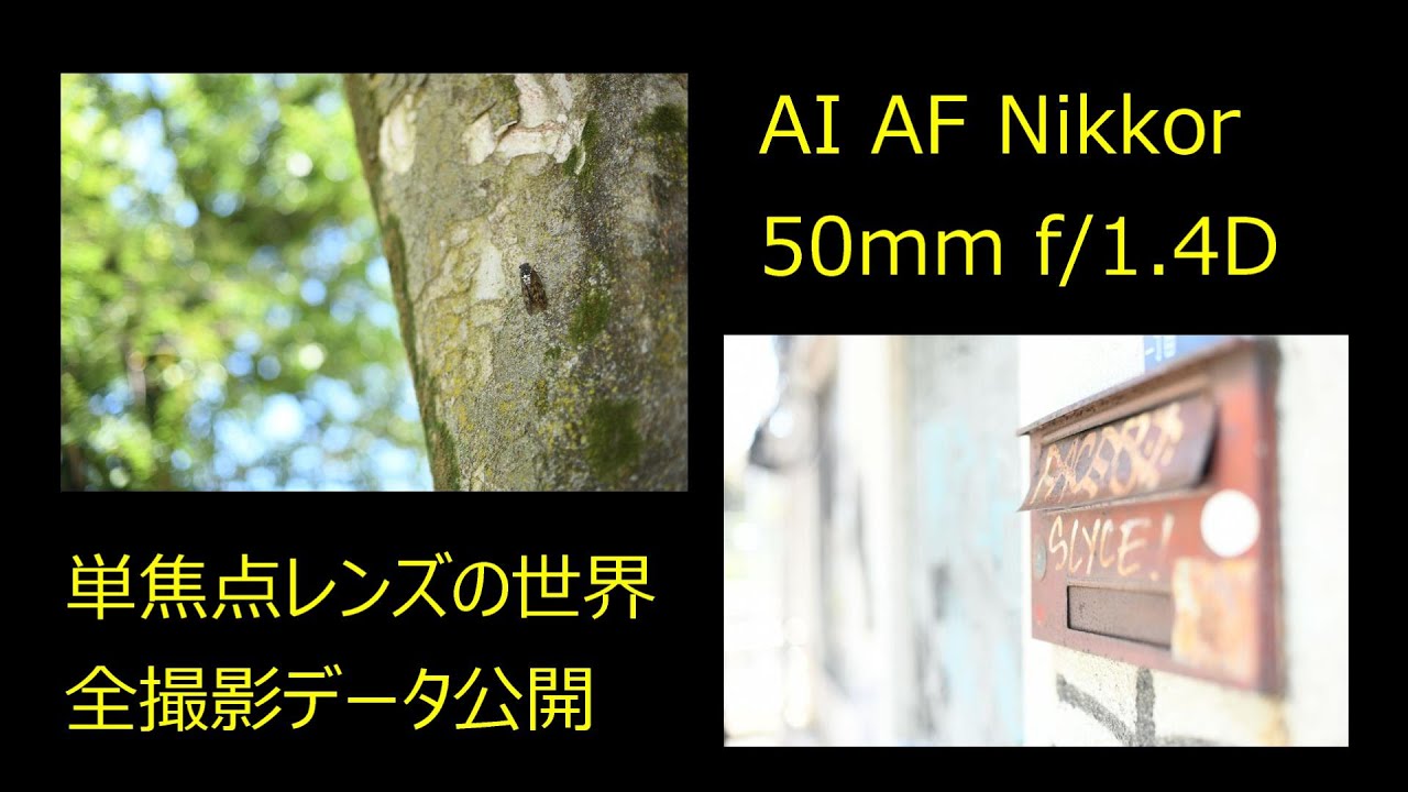 単焦点レンズ　50mmの世界　AI AF Nikkor 50mm f/1.4D　撮影データ付