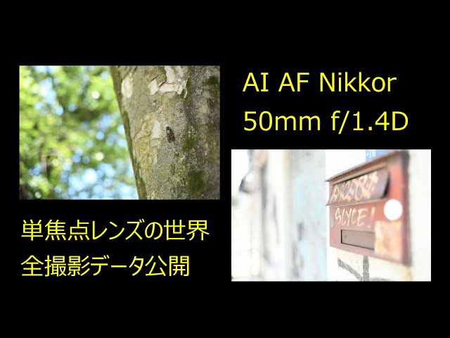 単焦点レンズ　50mmの世界　AI AF Nikkor 50mm f/1.4D　撮影データ付