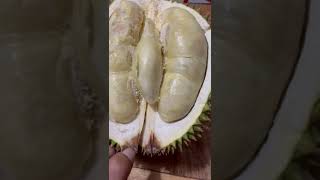 Durian Mantap Nih シ