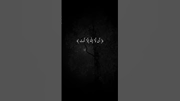 سورة الانبياء - بلال دربالي
