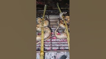 Món Rắn Bông Súng Nướng Than
