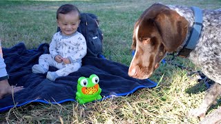 Bubble Bliss: How to Entertain Your Baby and Dog Together by Zazu Talks 11,341 views 9 months ago 2 minutes, 32 seconds