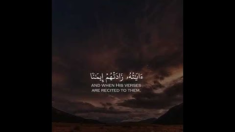 ناصر القطامي || حالات واتس اب قرآن كريم || مقاطع قصيرة || تلاوة عطرة