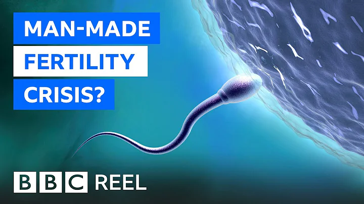 Fertility crisis: Is modern life making men infertile? - BBC REEL - DayDayNews