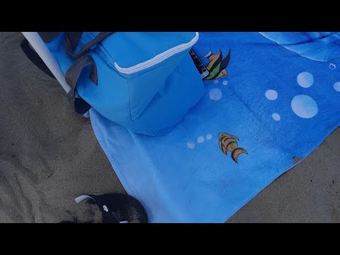 ثلاجة ممتازة حقيبة جميلة اللون وبرودة معزولة للأغذية