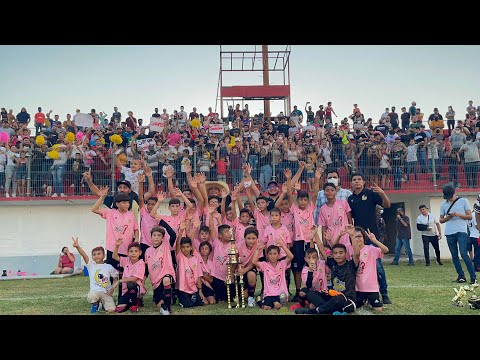 Video: ¿El soñador gana la copa de criadores?