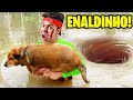 6 Youtubers que Salvaram Animais (Enaldinho, Natan Por Aí, Mr. Beast, Viros)