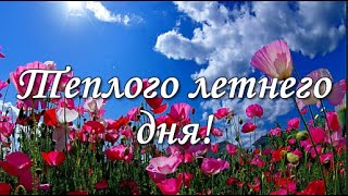 Теплого Летнего Дня!Хорошего Отдыха, Чудесного Настроения! Музыкальная Открытка.