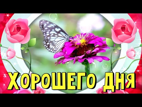 ХОРОШЕГО ДНЯ! САМЫЕ КРАСИВЫЕ ПОЖЕЛАНИЯ!