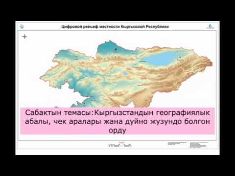 Video: Мелүүн тропикалык токойлордо жоголуп бара жаткан түрлөр кайсылар?