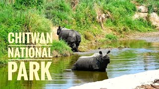 rhino in nepal | chitwan National Park | Nepal Wildlife Tour | Nepal National park and wildlife