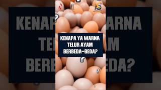 ALASAN DIBALIK PERBEDAAN WARNA TELUR!