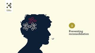 How the Memrec treatment works – a neuroscience-based approach to phobias