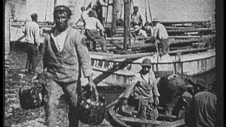 Sardine fishing France before WW1