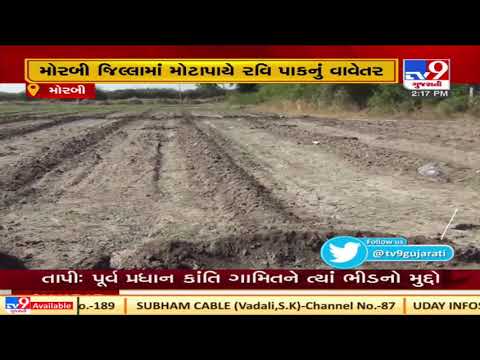 Farmers sow rabi crops, hoping for good income |Morbi | Tv9GujaratiNews