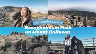solo hiking to baengnokdam peak on mount hallasan, jeju. 🗻