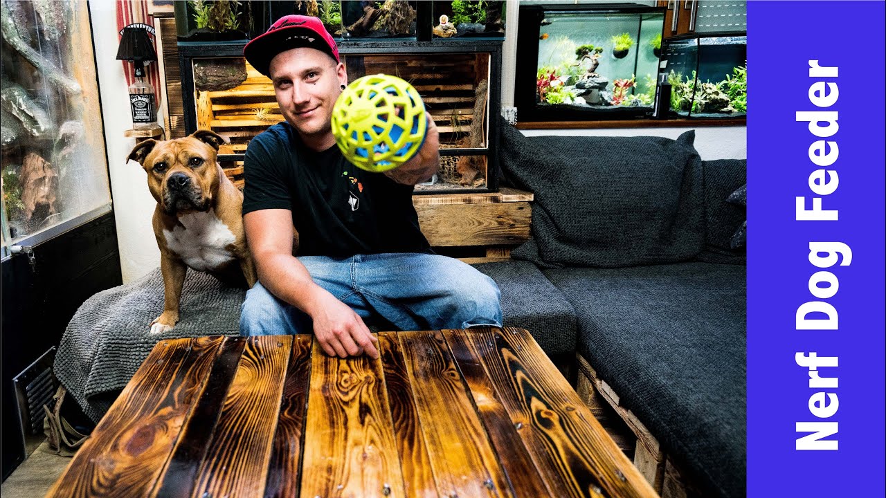 nerf dog feeder