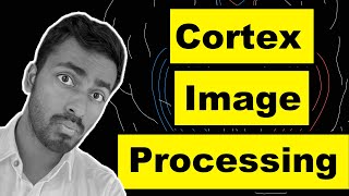 Primary Visual Cortex: How brain processes what we see