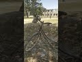 hit six practice