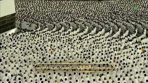فواتح سورة العنكبوت لـ فضيلة الشيخ #فيصل_غزاوي من صلاة المغرب ٢٣ ذو القعدة ١٤٤٥هـ