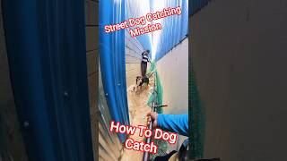 How To Catch Street Dog #dog #rescue #howtocatch #dogwithpublicsafety #amazing