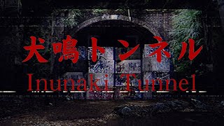 法律がきかない恐怖のトンネル。日本一怖い心霊スポットを歩くホラーゲームが怖い【犬鳴トンネル 完全版】金曜ホラーナイトショー