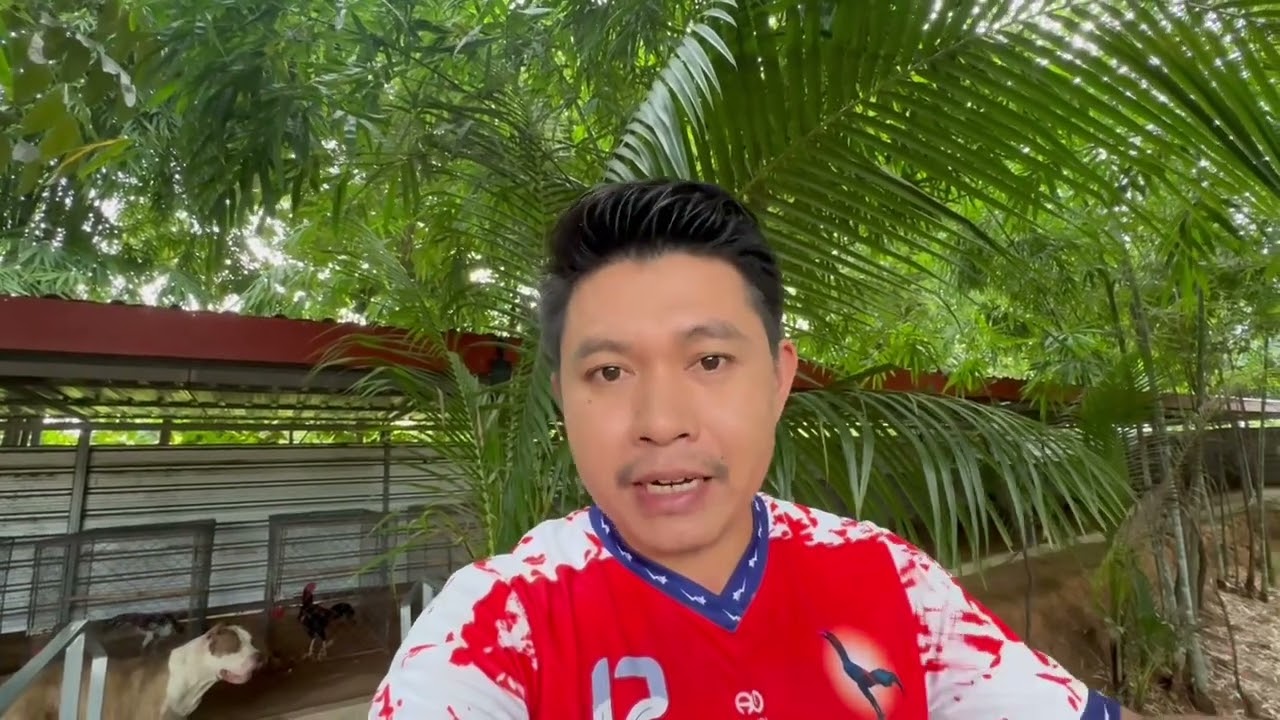 แค่ผมบอกว่า ผมคัดแบบนี้ถึงมีวันนี้❤️🫰