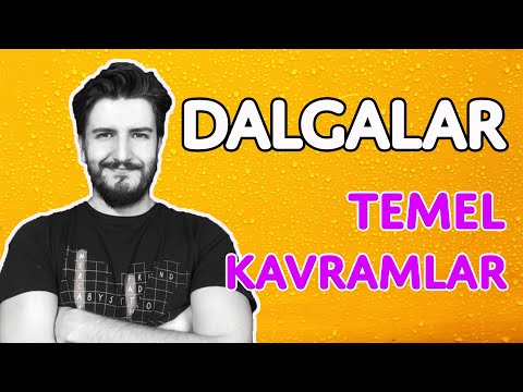 Temel Kavramlar | Dalgalar - 1 | Simülasyon | PDF