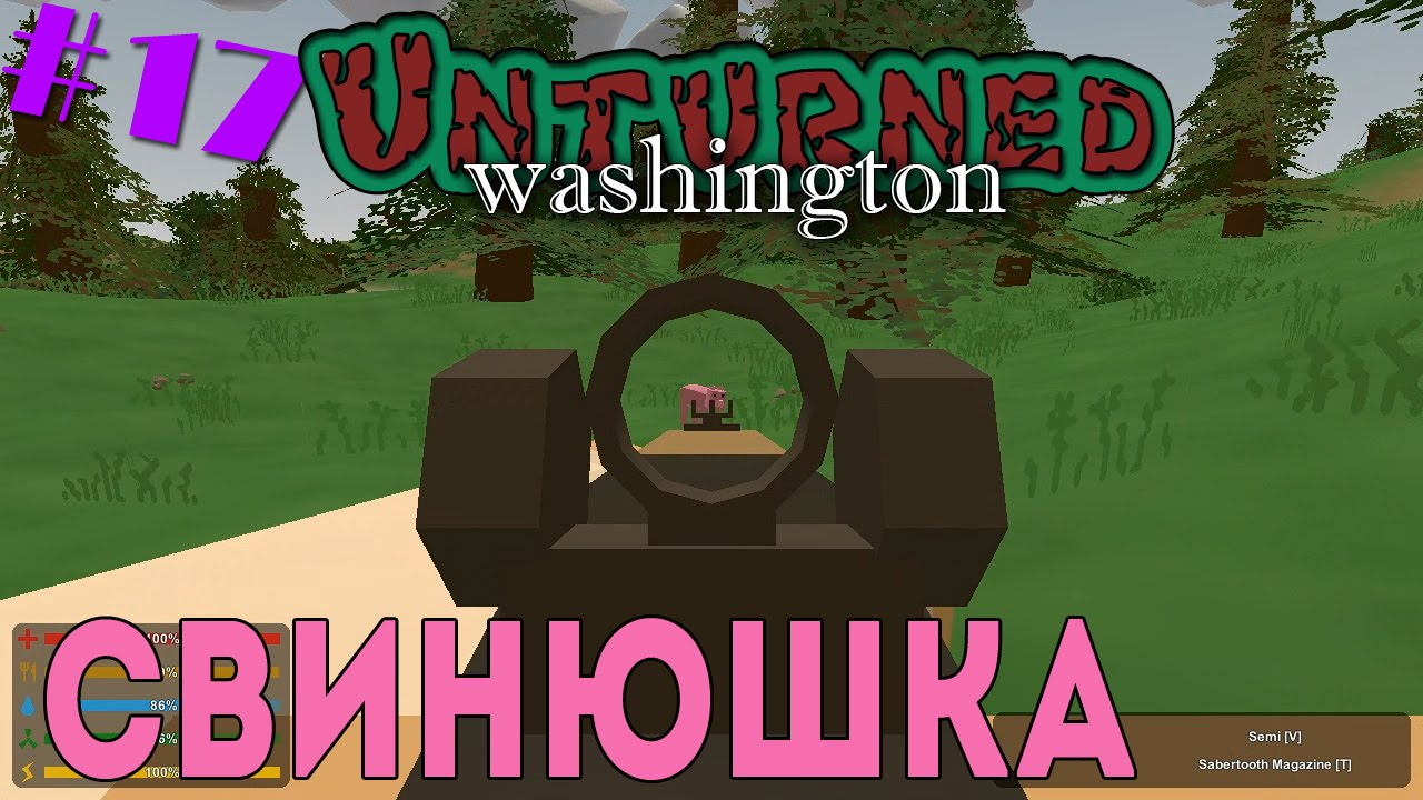 Карта вашингтон unturned