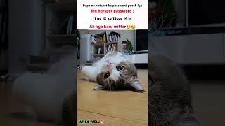 ab hoga asaal mout ka khel #papa #foryou #fypシ゚viral #hotspot #getviral