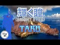 輝く瞳 BRIGHT EYES/TAKU アニメ「巨神ゴーグ」主題歌 この曲、知ってる人多いのかな?
