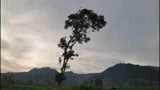 MENTAHAN SENJA 30 DETIK SAWAH SORE HARI