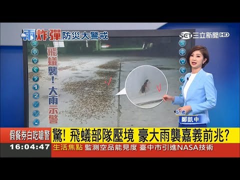 真正的雨還沒到！暴雨全下在海上 嘉義驚見大量飛蟻｜【LIVE大現場】20180613|三立新聞台