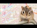 【8歳】まめたまつり2026【誕生日】