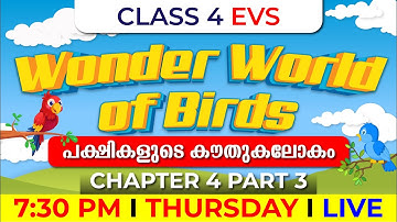 Class 4 EVS | Wonder World of Birds Part 3 | പക്ഷികളുടെ കൗതുകലോകം | Chapter 4 | Exam Winner